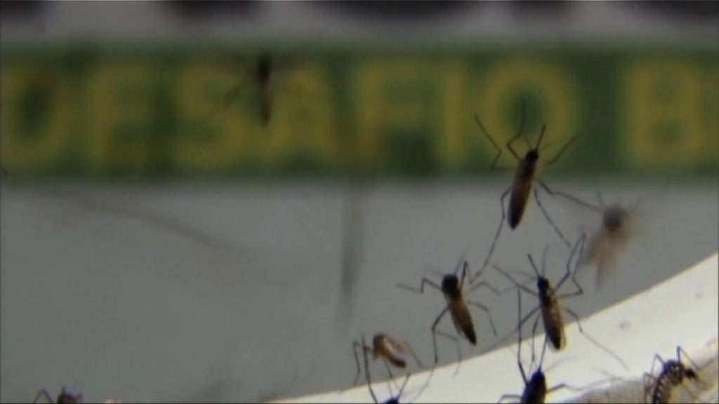 美國確診多宗外地傳入寨卡個案