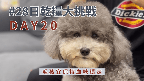 28日乾糧大挑戰 – Day 20