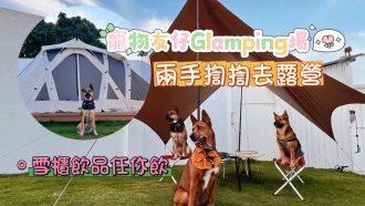 吃喝玩樂炒旦遊記 - 寵物友仔 Glamping 場