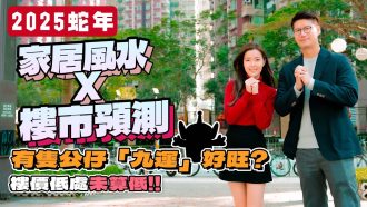 2025蛇年家居風水x樓市預測｜樓價低處未算低？