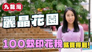 麗晶花園｜100元印花稅可買到