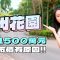加州花園｜叫價1500萬元 貴過市價有原因!
