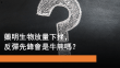 6月16日 藥明生物股價顯著受壓