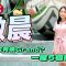 滶晨｜首批約2萬元 同區新低價真係咁平?
