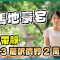 雲地利台｜跑馬地豪宅 入場3房呎價約2萬元
