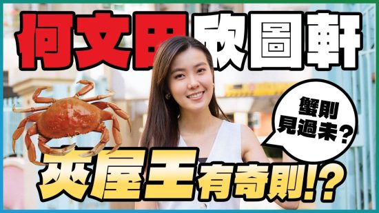 何文田 欣圖軒｜九龍豪宅區「夾屋王」 兩房呎價約1.3萬元