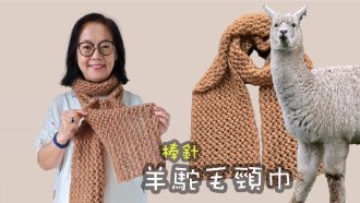 用棒針把「草泥馬」羊駝的毛變成頸巾！