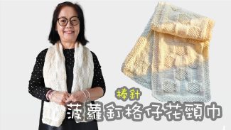 菠蘿釘格仔花紋頸巾 棒針（廣東話）圍巾